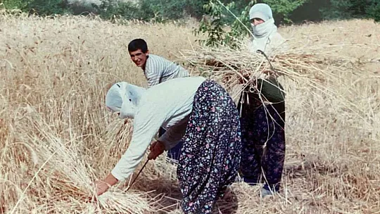 Türkiye'nin konuştuğu kahramanın doğup büyüdüğü ev ilk kez görüntülendi