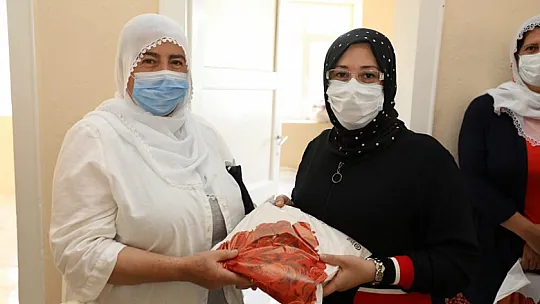 Ayşe Yırık'tan Ağın'a Ziyaret