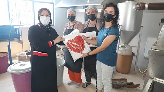 Ayşe Yırık'tan Ağın'a Ziyaret