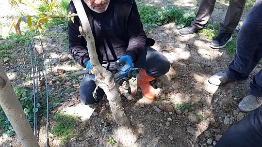 Tavsiye Dışı Pestisit Kullanımına Karşı Eğitimler Devam Ediyor