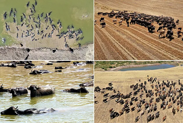 Eyyam-ı Bahur Türkiye'yi Afrika'ya Çevirdi, Komşu İlimizde Müthiş Kareler Ortaya Çıktı