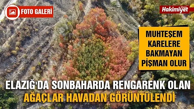 Elazığ'da sonbaharda rengarenk olan ağaçlar havadan görüntülendi