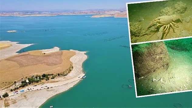 Yarımada konumundaki Elazığ, sualtı flora ve faunasıyla dikkat çekiyor