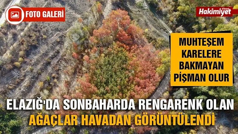 Elazığ'da sonbaharda rengarenk olan ağaçlar havadan görüntülendi