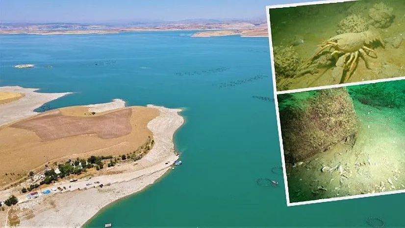 Yarımada konumundaki Elazığ, sualtı flora ve faunasıyla dikkat çekiyor