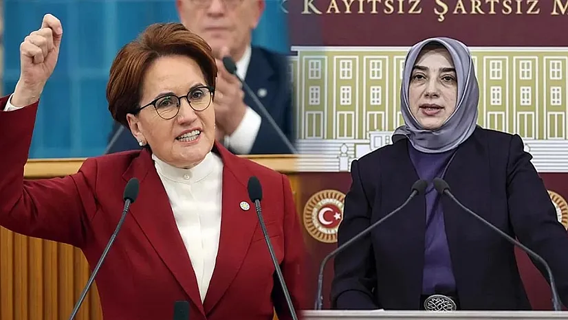 'Özlem' Seviciliği