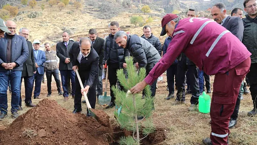 Tunceli'de 20 bin fidan toprakla buluşturuldu