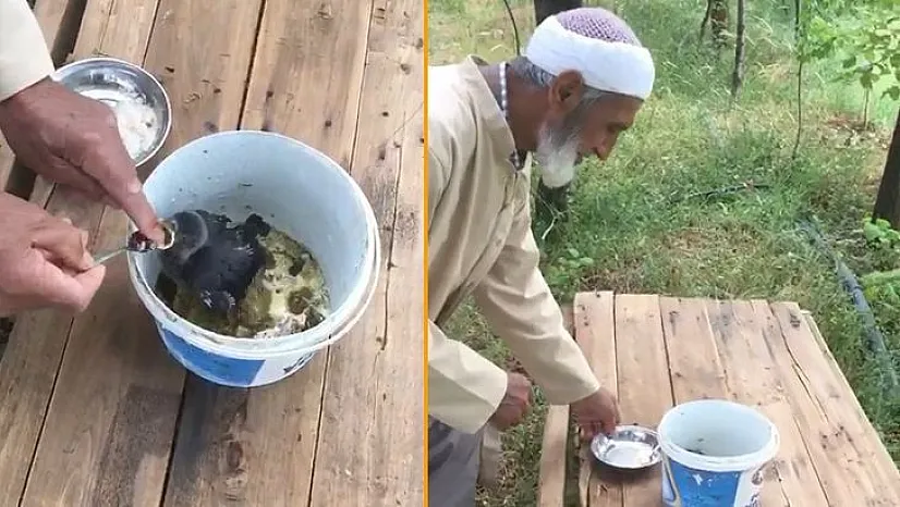 76 Yaşındaki Akif Amca, Yavru Kargayı Bebek Gibi Besliyor