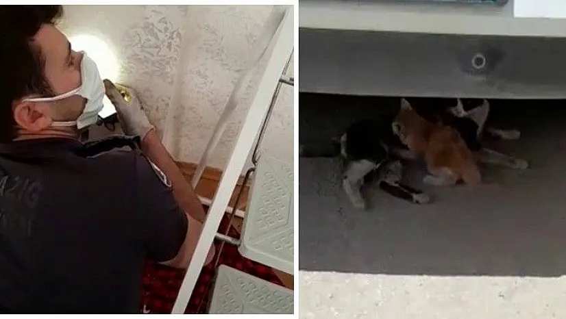 Havalandırma boşluğuna düşen yavru kedi kurtarıldı