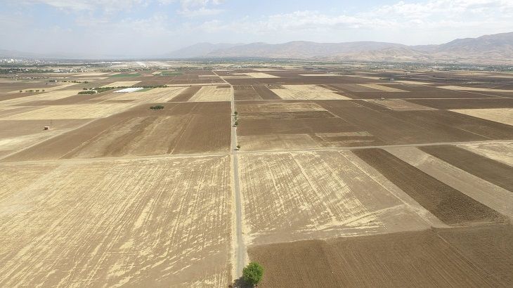 İsteyince Oluyormuş…