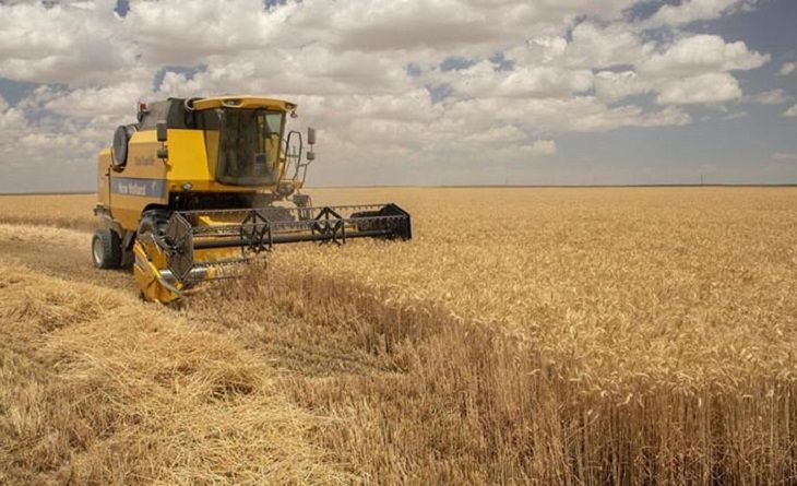 Alım Garantili Üretim