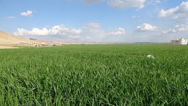 Alım Garantili Üretim