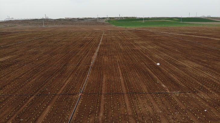 Tarıma,  İmar Tehdidi