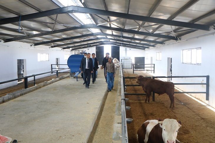 Hem Üretim Hem İstihdam