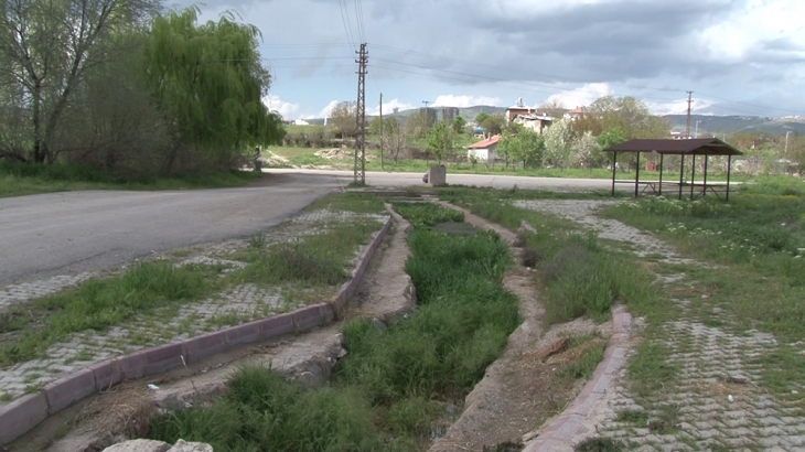 Şorşor İhalesi İptal