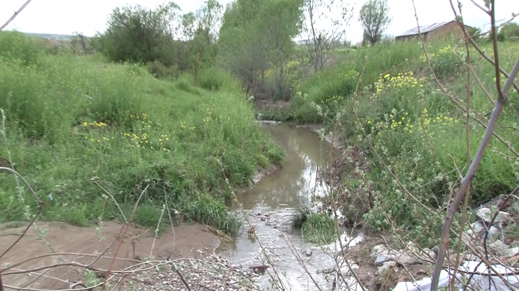 Şorşor İhalesi İptal