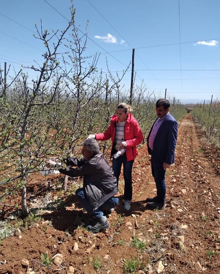 Üretimi Artırmalıyız