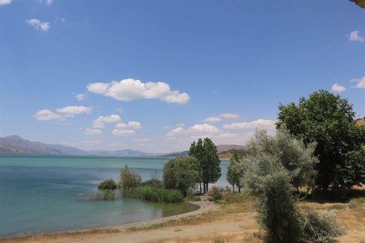 Proje Neden Bekliyor?