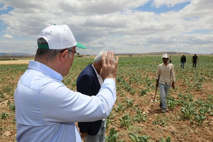 Kuzova'da Çözüme Doğru